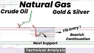 Natural Gas Fib Entry | Bearish Continuation?|Support|Gold | Silver | Crude Oil | Technical Analysis
