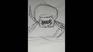 Draw Spider #ibispaint #shorts #drawing #short #spider#perfect