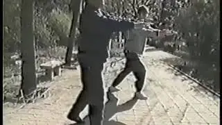 Feng Zhiqiang & Yaron Seidman