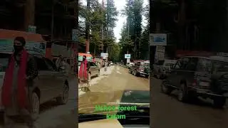 #kalam#kpk#swat ushoo forest#beautiful kalam swat ushoo forest
