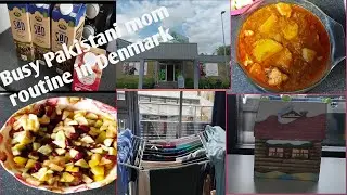 Pakistani mom routine in Denmark/Aalo gosht recipe/Asian family in Denmark