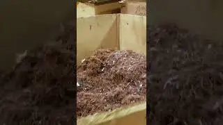 Processing ASR #shorts #copper #scrap #scrapping #recycle #recycling