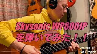 Skysonic WP800JP