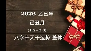 2026 乙巳年 己丑月 (2026.1.5 - 2.3) 八字十天干月运 整体