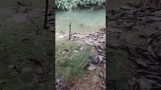 Aventura No cerrado brasileiro