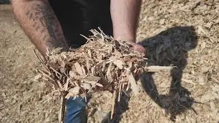New company uses old wood to make clean energy