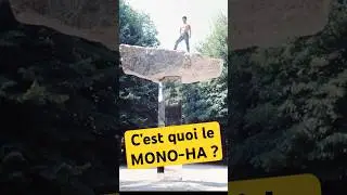 C&rsquo;est quoi le Mono-ha ?#mono-ha  #art #artcontemporain