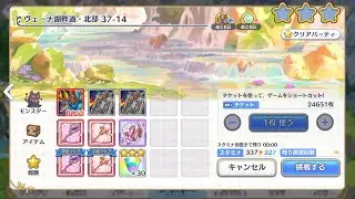 [Princess Connect ReDive] Main Quest Normal 37-14 Full Auto clear