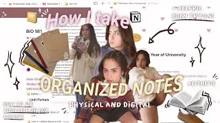 📔How to take organized notes Feat. AELFRICEDEN become an ACADEMIC WEAPON, aesthetic notetaking 🎀