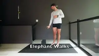 Elephant Walks
