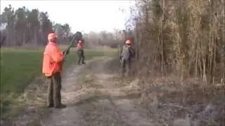 Alabama Quail Hunt
