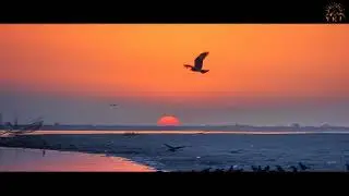 Beauty of Brahmaputra | The Neoteric Indian