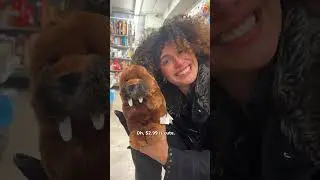 $5 Plushie Shopping Challenge 🧸#Challenge #Plushies #Cute #Budget #StreetCents
