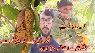 Such a blessing of Allah||Re-uploaded🤔