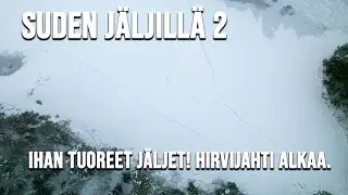 SUDEN JÄLJILLÄ OSA 2. Hirvijahti alkaa.
