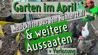 Garten im April. Gurke und Co aussäen
