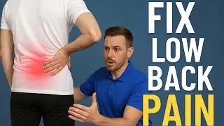 FIX Lower Back Pain in 5 Minutes a Day (No Equipment Needed! | Chiropractic Treatment |