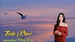 TÌNH PHAI sáng tác Mây Tím 