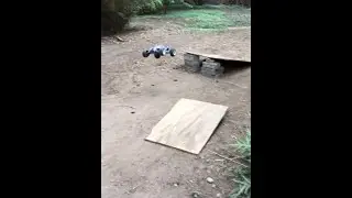Traxxas Rustler best moments