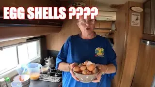 Ultimate Home Made Taco Quiche: Viral Egg Shells Hack Revealed!