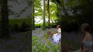 Entering the Fairy Realm 🧚✨ A Dreamy Escape into Magic & Nature