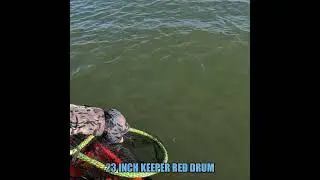 KAYAK FISHING 1ST RED DRUM,KEEPER ! 9/27/24 #kayak_saltwater_fishing