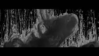 THE NOUVE - SHADOWS (Official Music Video)