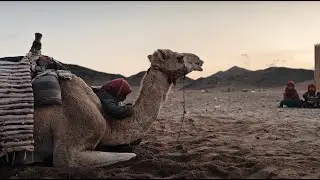 Egyiptom Hurghada Travel Video | The Grand Resort