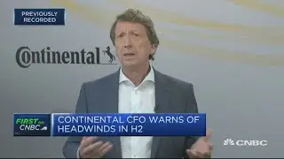 Continental CFO: Expect 'sideways' car production for 2020 | Squawk Box Europe