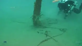 In Sicilia ritrovati tre aerei abbattuti durante la seconda guerra mondiale