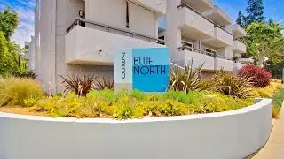 Blue North - 7850 Reseda Boulevard, Reseda, CA 91355