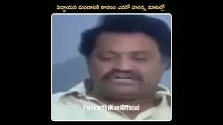 Reason behind Sr NTR death - Harikrishna #srntr #ntr #harikrishna #balayya #chandrababu #naralokesh