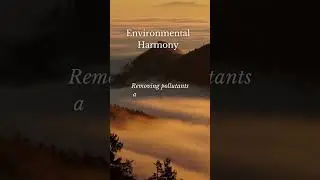 Environmental harmony🍂🍁 #subscribe #viral #tranding #environment #nature #fyp  #2023