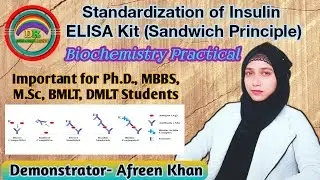 Standardization of Insulin ELISA Kit Sandwich Principle | Biochemistry Practical | DHANAK RANG