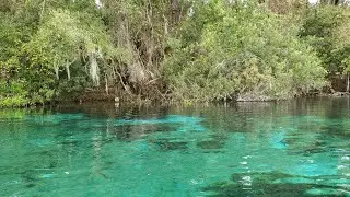BEST Florida Spring! Rainbow River Dunnellon, Florida
