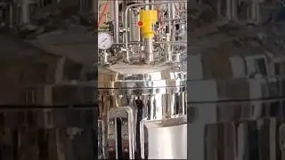 250L Bioreactor for Animal Cell Culture | #bioreactor #Cellbasedmeat #biotechnology