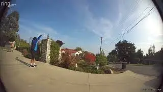 Security Footage Captures Face-Off Between Delivery Driver and Bear