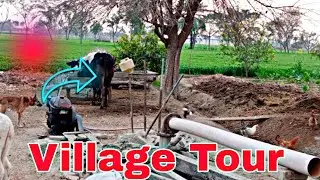 3 Minutes Beautiful Village Tour Punjab Pakistan | My Village Tour | Home Tour