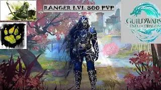 ꧁ঔৣ☬✞ Soulbeast Ranger PvP LvL 800 Ranqueada  Guild Wars 2  ✞☬ঔৣ꧂