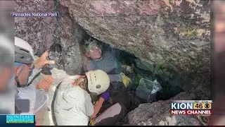 Two active condor nests at Pinnacles National Park