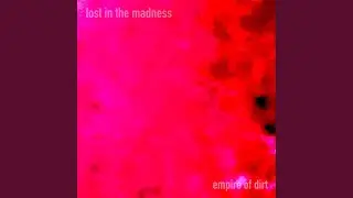 Lost in the Madness