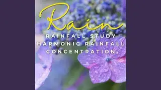 Ethereal Rain Study Melodies