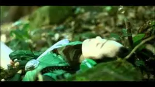 Funky forest - the first contact