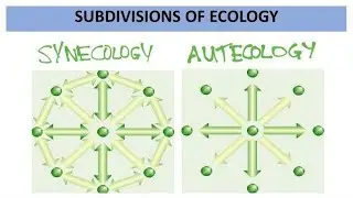 #branches of ecology#autecology#synecology#species ecology#community ecology#viral shorts for neet