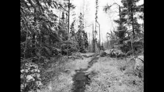 The Wisdom of the Trail
