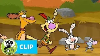 NATURE CAT | What Happened to the Marsh?! | PBS KIDS