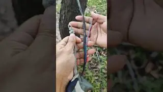 tree strap + Becket hitch + crazy chain + universal loop (double diamond knot)
