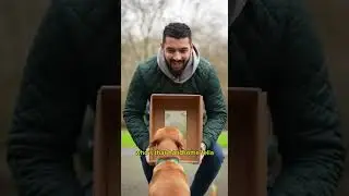 Funny 😂 Animals showing Love 😂😂🇺🇸🐈 #funny #shortvideo #cat