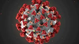 China lab rejects COVID-19 conspiracy claims, but virus origins still a mystery