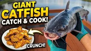 I Pulled This GIANT Catfish Out of the Water - Then Cooked It in an Air Fryer